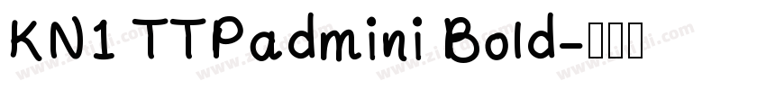 KN1 TTPadmini Bold字体转换